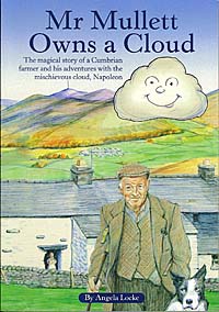 Mr Mullett Owns a Cloud