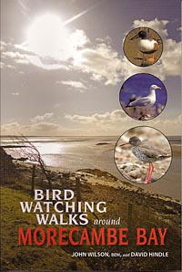 Birdwatching Walks Around Morecambe Bay