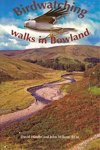 Birdwatching Walks in Bowland