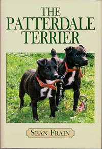 Patterdale Terrier