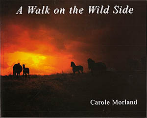 Walk On The Wild Side