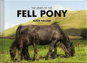 Spirit of the Fell Pony