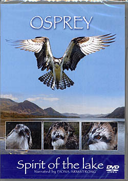 Osprey