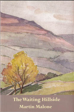 Waiting Hillside