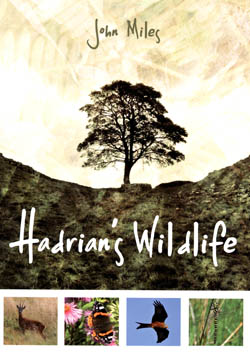 Hadrian's Wildlife