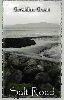Salt Road
