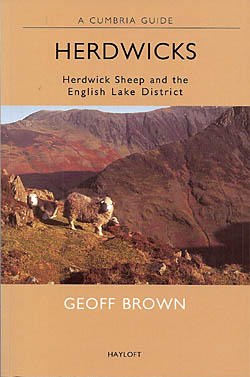 Herdwicks