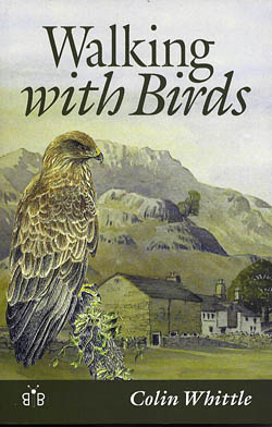 Walking with Birds