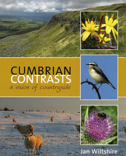 Cumbrian Contrasts