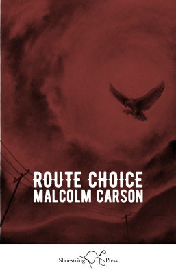 Route Choice