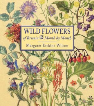 Wild Flowers of Britain Month by Month