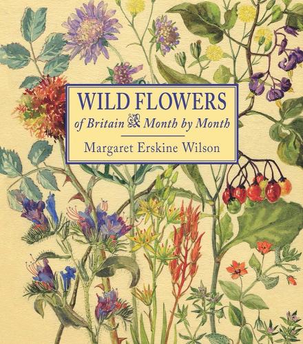Wild Flowers of Britain Month by Month