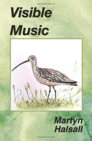 Visible Music