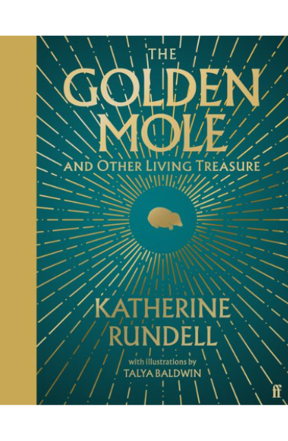 Golden Mole