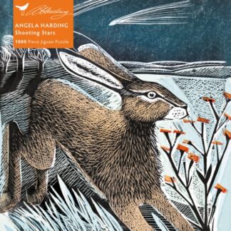 Angela Harding: Shooting Stars