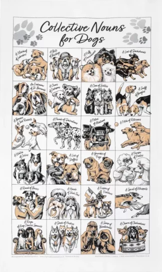 Collective Nouns For Dogs Teatowel