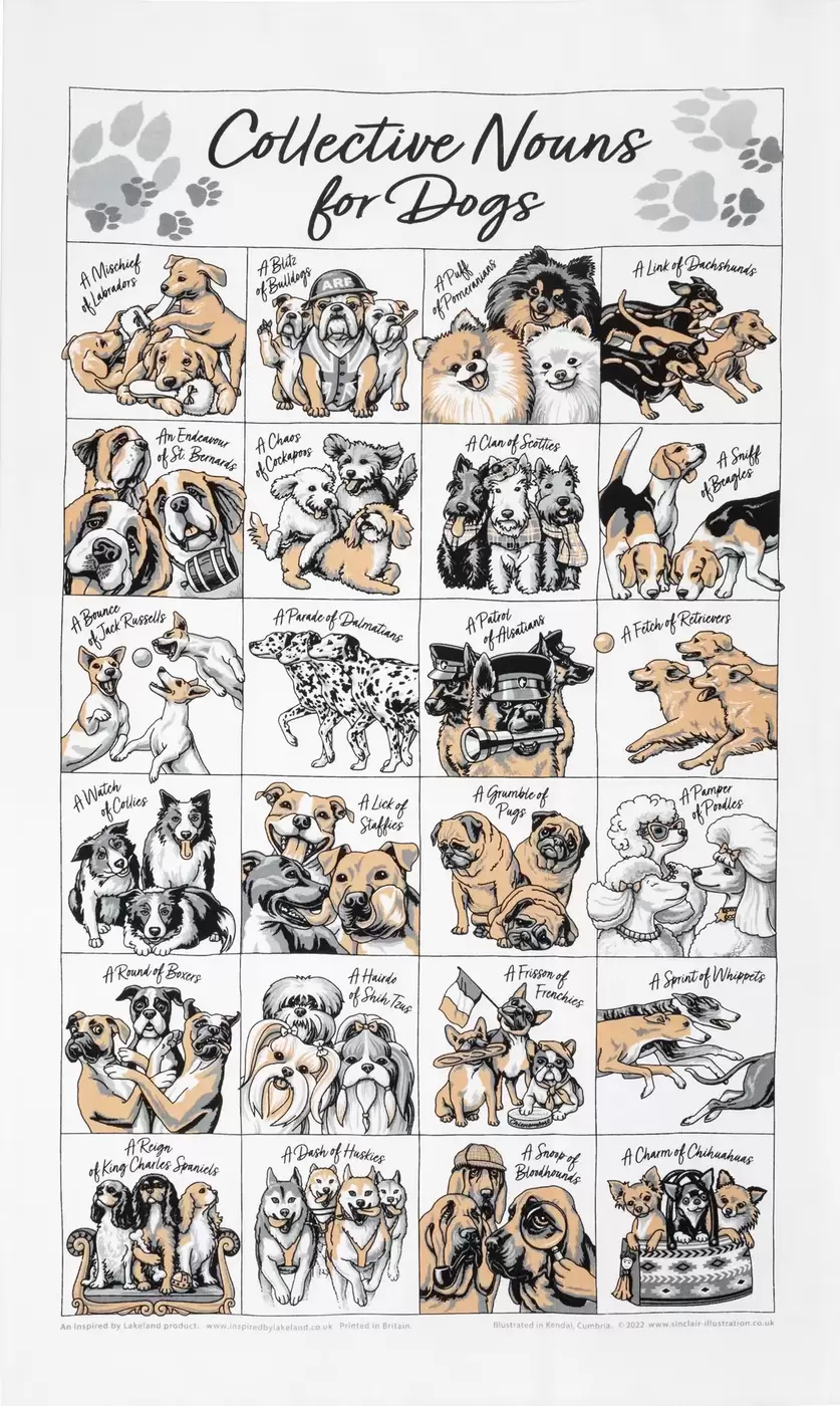Collective Nouns For Dogs Teatowel