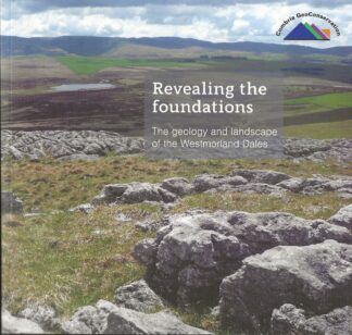 Revealing the Foundations