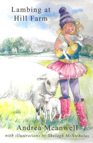 Lambing at Hill Farm