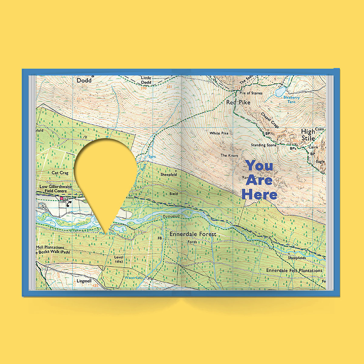 You Are Here - Image 2