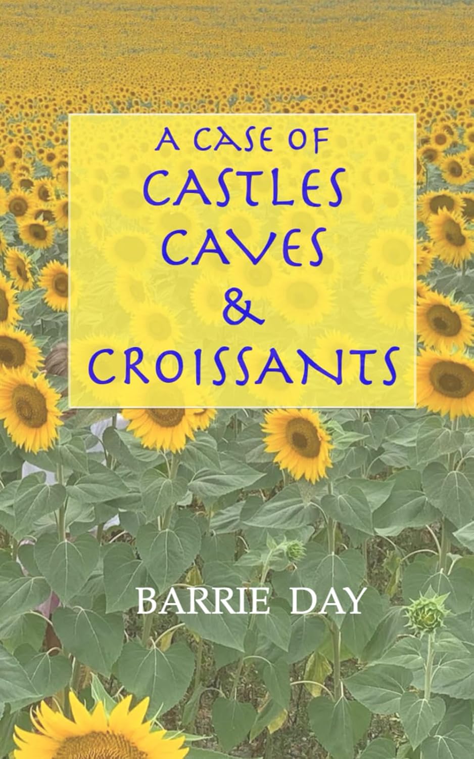 Case Of Castles, Caves & Croissants
