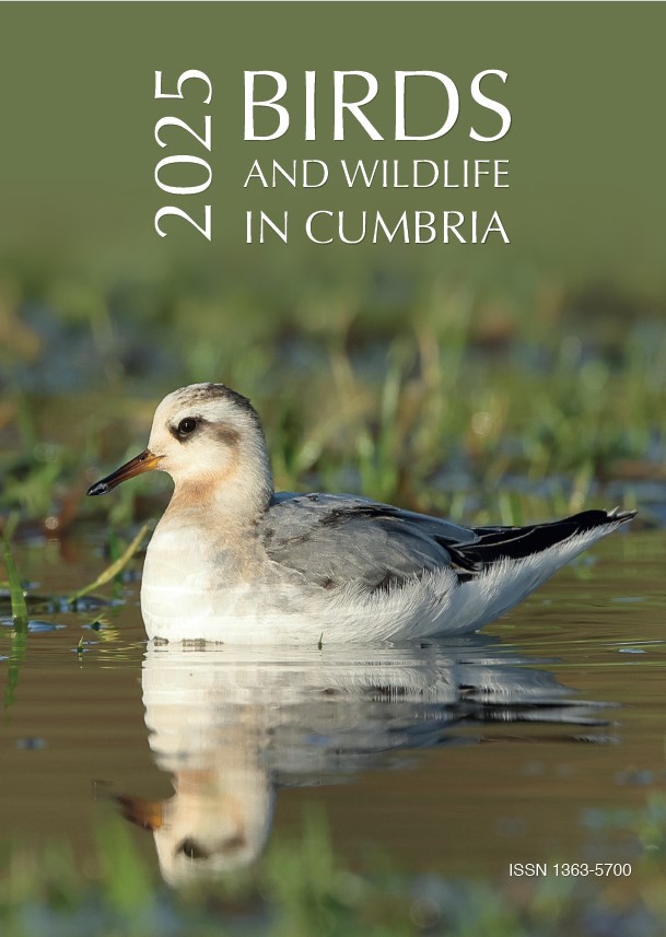 Birds And Wildlife In Cumbria 2025